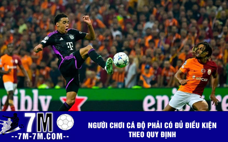 Người chơi cá độ phải có đủ điều kiện theo quy định