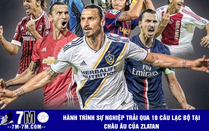Hành trình sự nghiệp trải qua 10 câu lạc bộ tại châu Âu của Zlatan