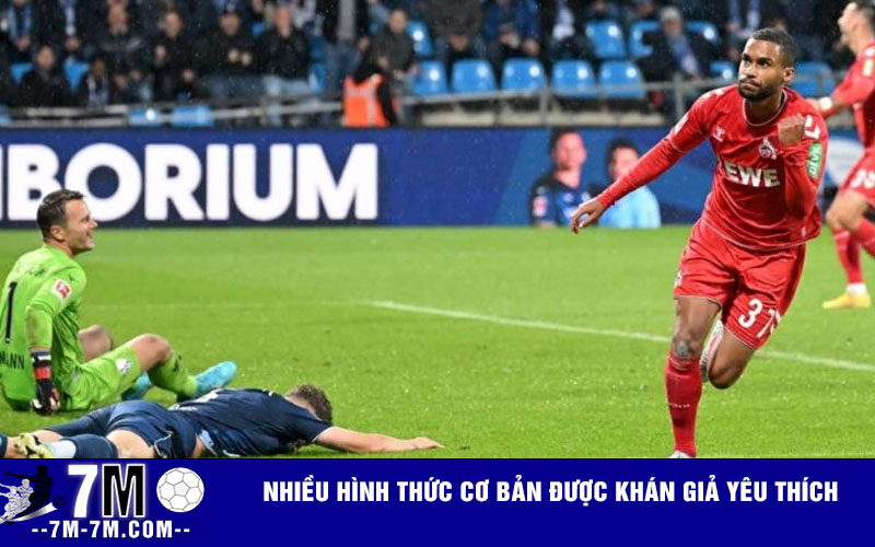 Nhiều hình thức cơ bản được khán giả yêu thích