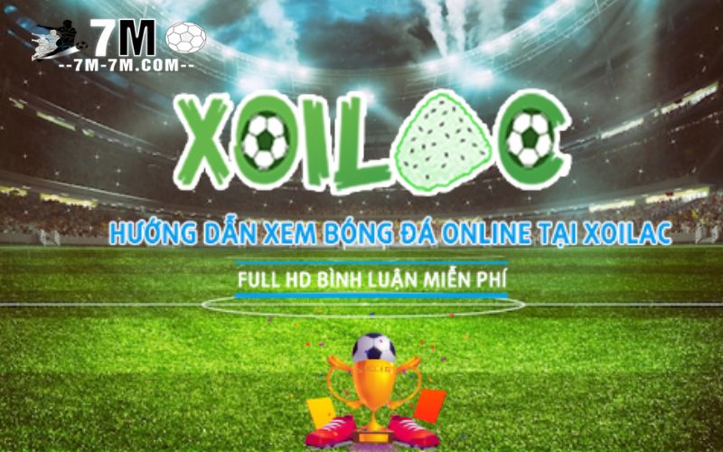 Trang trực tiếp bóng đá xoilac cập nhật tin tức nhanh chóng