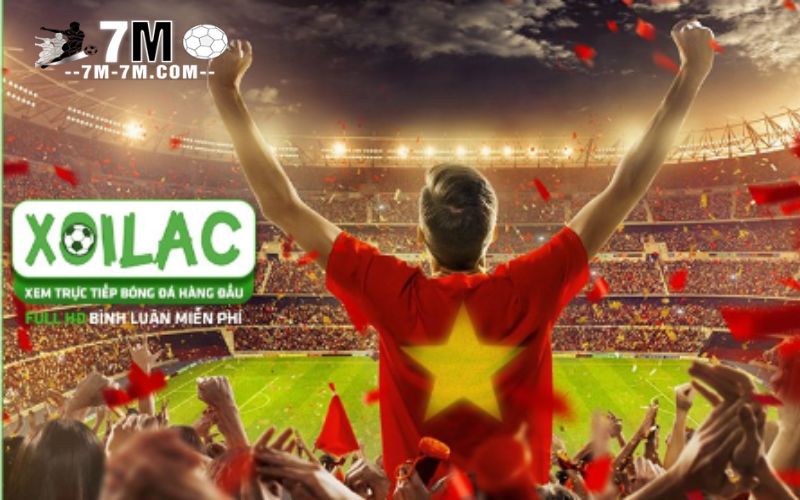 Xoilac tuân thủ các quy tắc và quy định