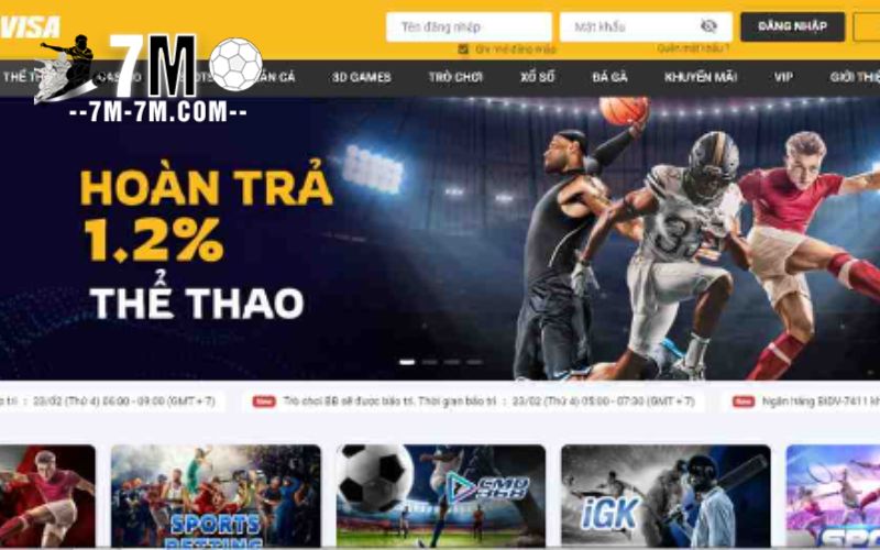 Những môn thể thao nổi bật tại Betvisa