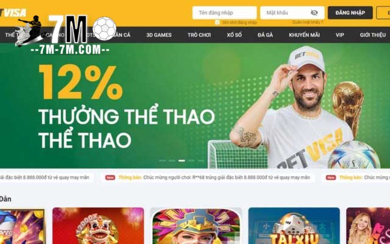 Một số thông tin về thể thao Betvisa