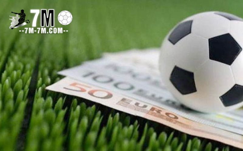 Trang cá độ bóng đá hội tụ nhiều điểm mạnh được đánh giá cao