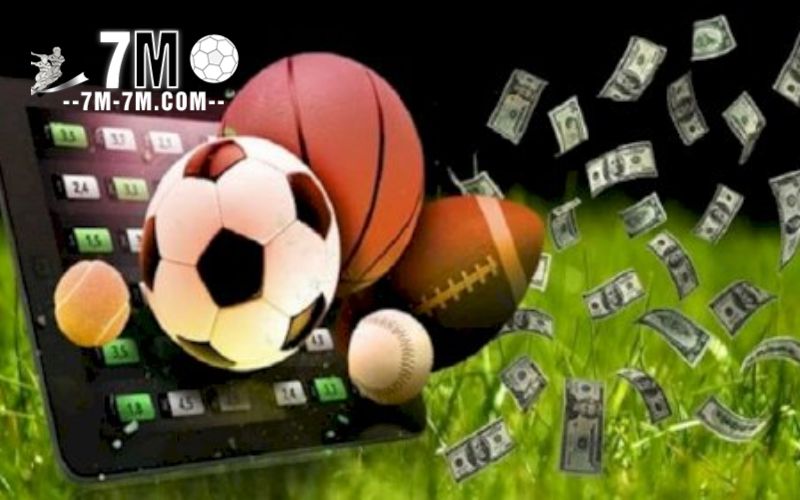 Quy trình chọn nhà cái đáng tin cậy