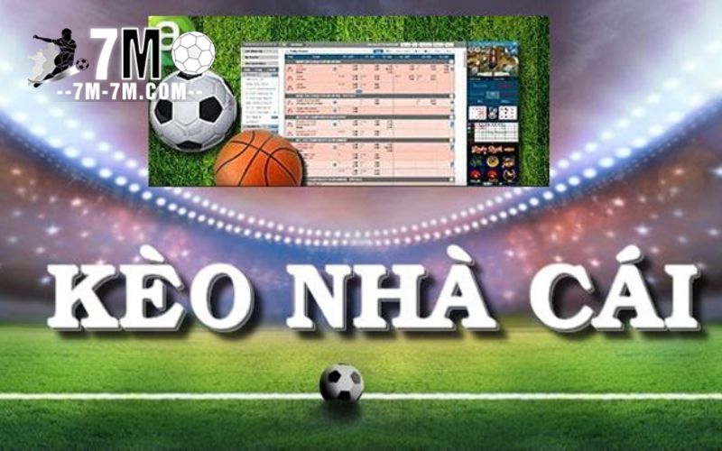 Cách đọc tỷ lệ kèo tài xỉu