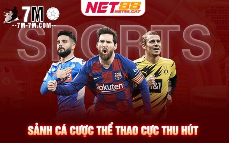 Tổng quan về thể thao NET88