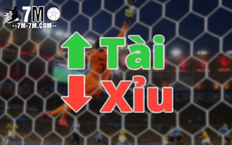 Người chơi nên trang bị kiến thức về bóng đá để tham gia cá cược