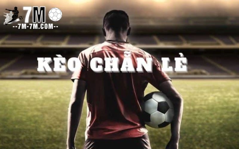 Kinh nghiệm bắt kèo thắng lớn, ăn bạc tỷ