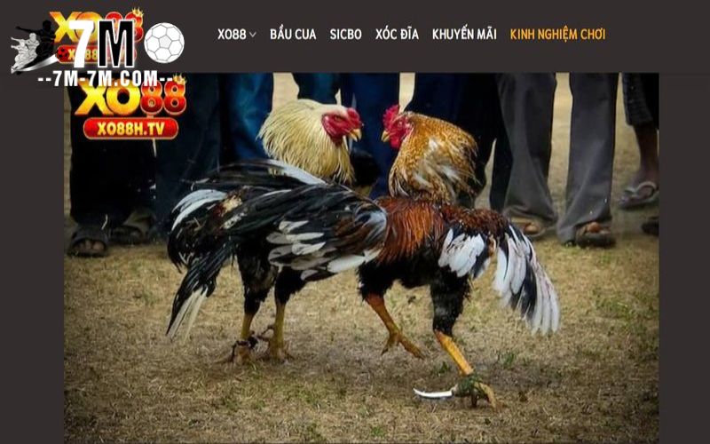 Nhiều sảnh game nên chơi