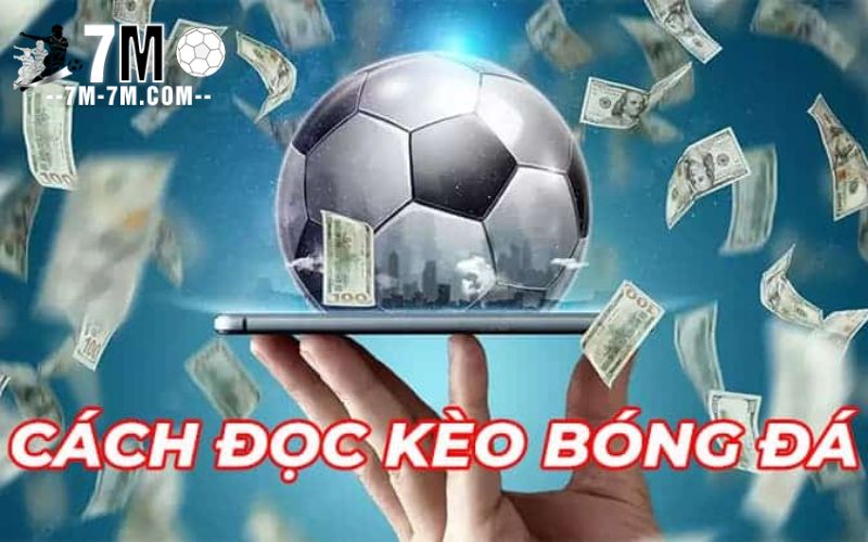 Cách đọc tỷ lệ kèo nhà cái một cách chính xác và hiệu quả
