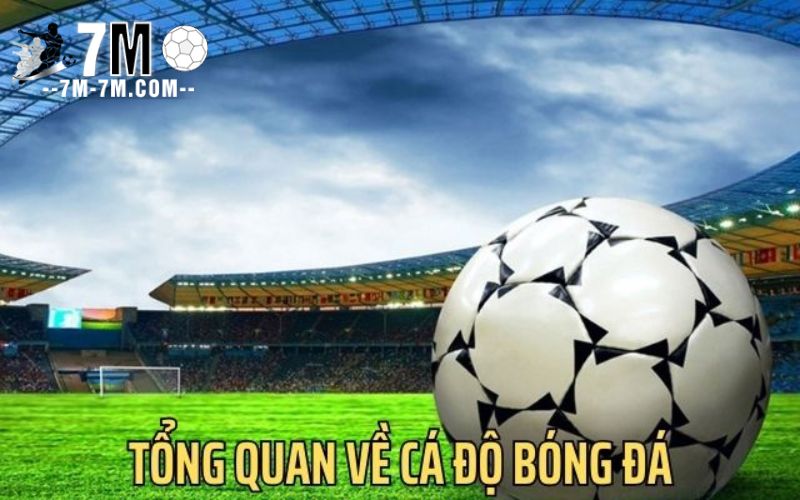 Tổng quan về cá độ bóng đá – Hiểu rõ để chiến thắng