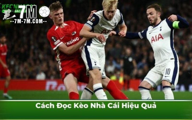 Cách Đọc Kèo Nhà Cái Hiệu Quả