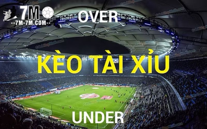 Kinh nghiệm để chơi kèo tài xỉu có cơ hội thắng cao nhất