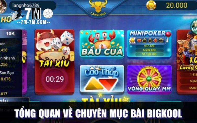Tổng quan về chuyên mục bài BigKool